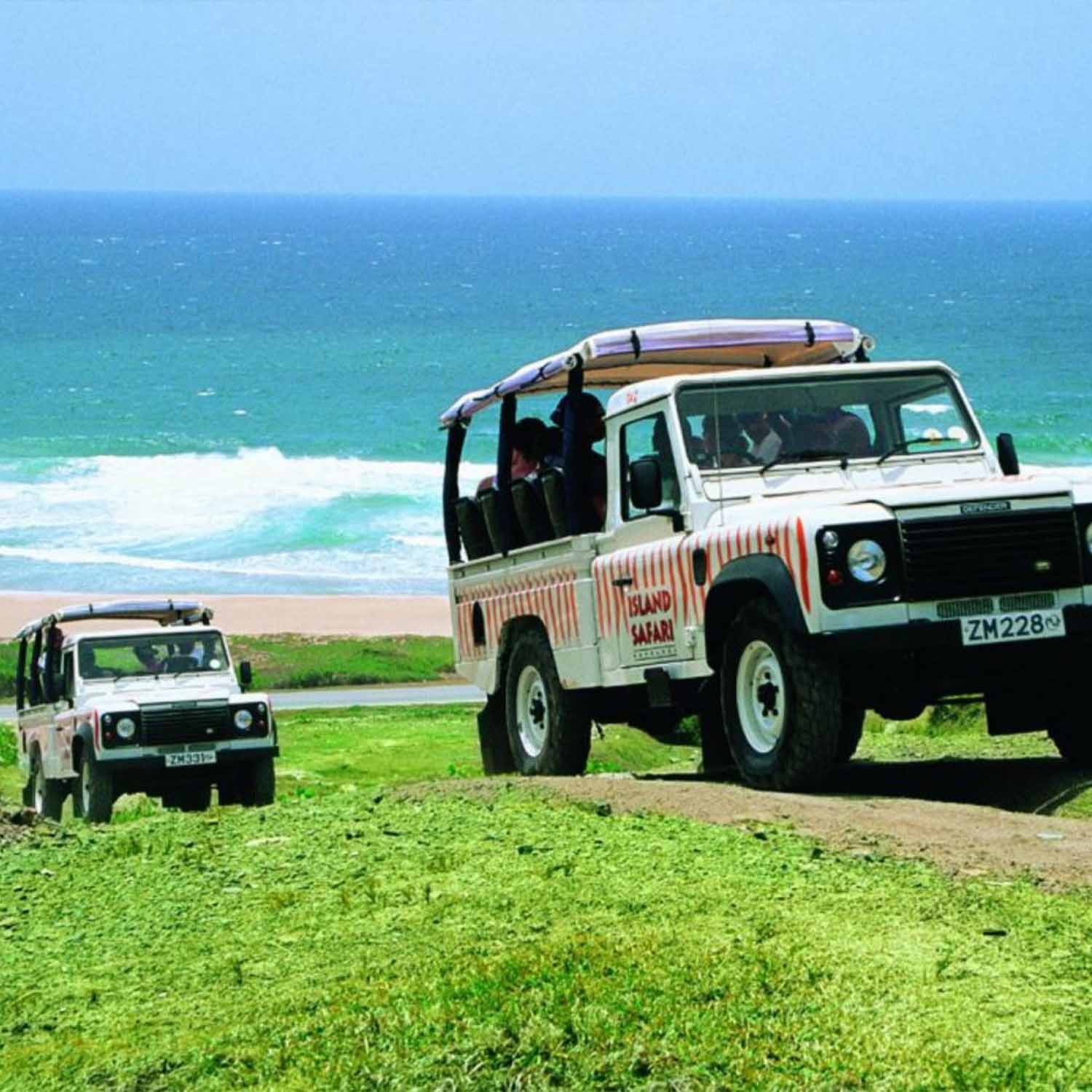 Island Safari